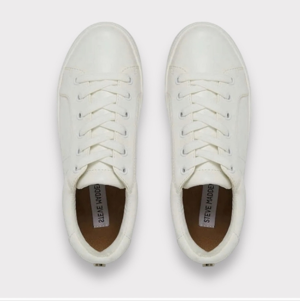 STEVE MADDEN LADIES' CLASSIC COURT SNEAKER 10
